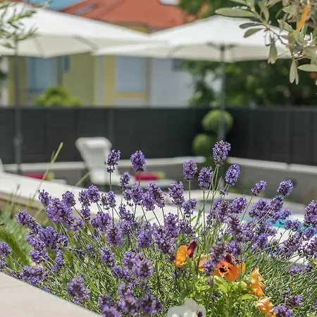 Appartamento Franica Zara