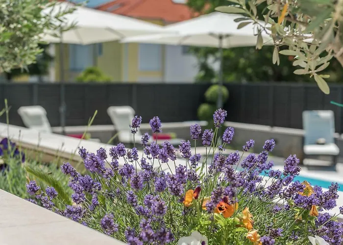 Апартаменты Franica Задар